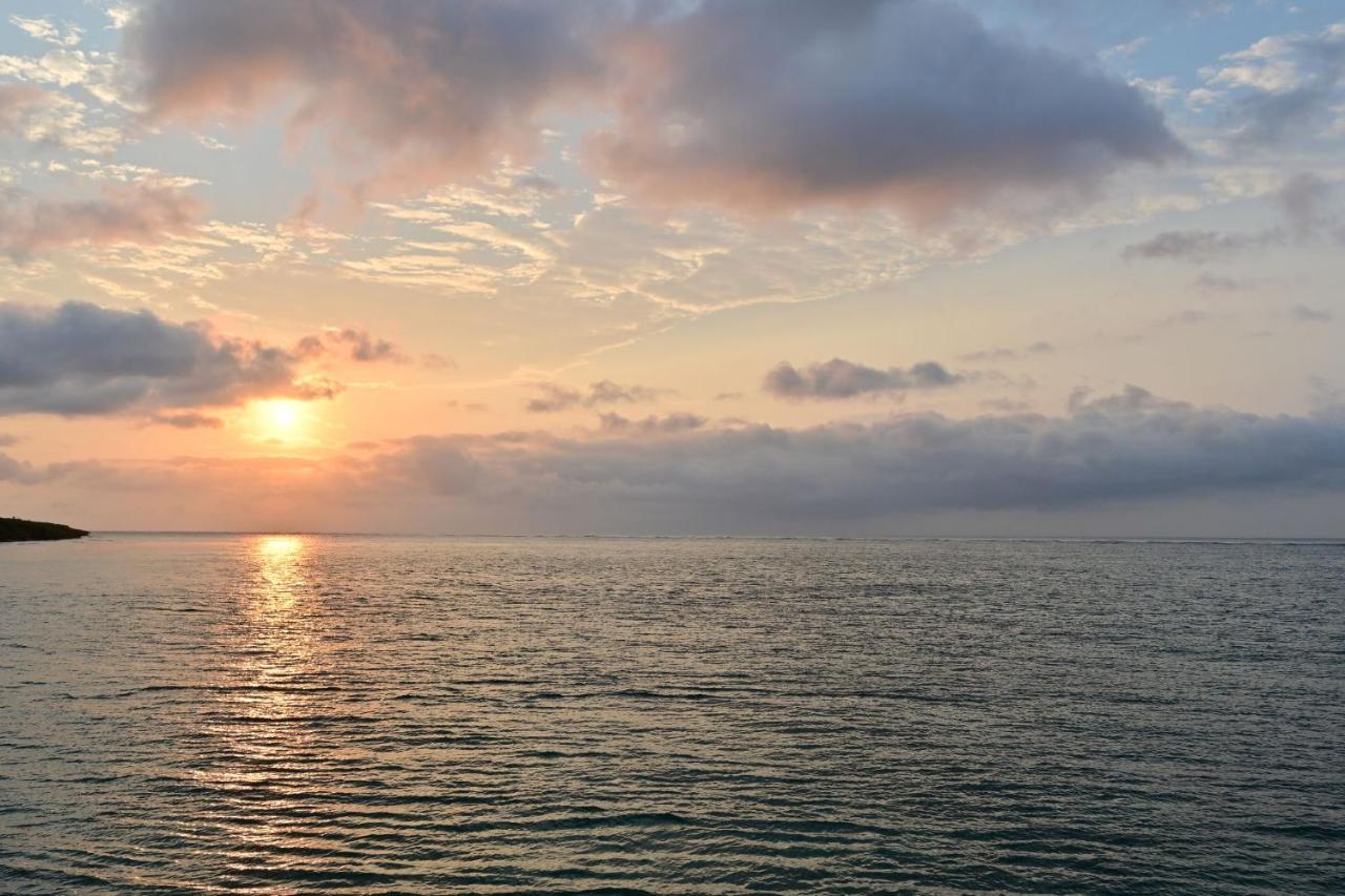 Daily & Weekly Condominium Blue Ocean Ishigaki Ishigaki  Eksteriør billede